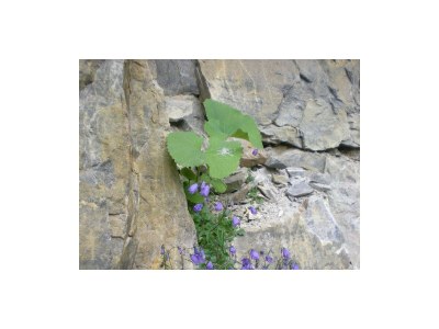 Apartment Apartment B/Wohn- &Schlafraum/Dusche, WC - Outdoor photo 3