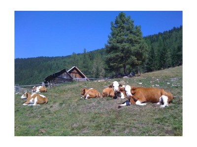 Apartment Apartment C/2 Schlafräume/Bad, WC - Outdoor photo 2