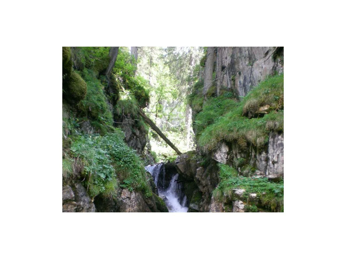 Apartment Apartment A/Wohn-Schlafraum/Dusche, WC