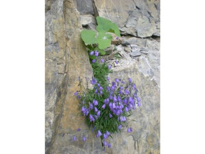 Apartment Apartment A/Wohn-Schlafraum/Dusche, WC - Outdoor photo 27