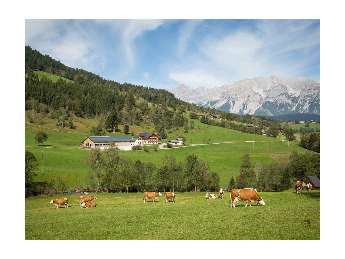 Apartment Appartement 3 - Outdoor photo 3