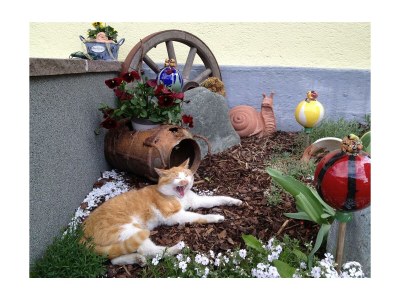 Apartment Appartement Typ B Mandling - Outdoor photo 13