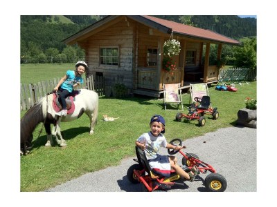 Apartment Ferienhaus "Schober" - Outdoor photo 13