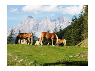 Apartment Ferienhaus "Schober" - Outdoor photo 20