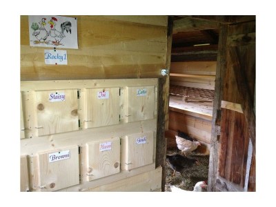 Apartment Ferienhaus "Schober" - Outdoor photo 44