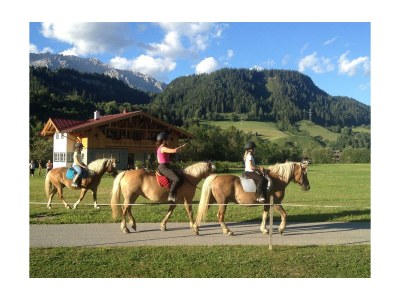 Apartment Ferienhaus - Blockhaus Abendrot - Outdoor photo 44