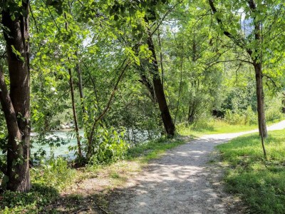 Apartment Appartement/Fewo, Dusche, WC, 2 Schlafräume - Outdoor photo 8