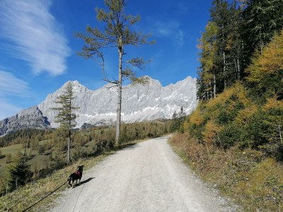 Apartment Appartement/Fewo, Dusche, WC, 2 Schlafräume - Features photo 16