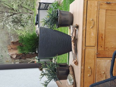 Apartment Appartement/Fewo, Dusche, WC, 2 Schlafräume - Features photo 18