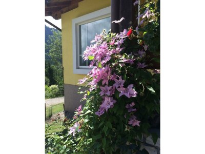 Apartment Appartement Planai - Outdoor photo 8