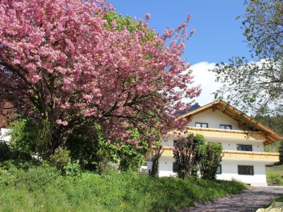 Apartment Appartement Planai - Outdoor photo 57