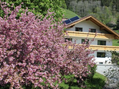 Apartment Appartement Planai - Outdoor photo 67