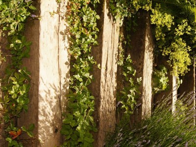 Apartment App. B/3 Schlafräume/Dusche, Bad, WC - Outdoor photo 28