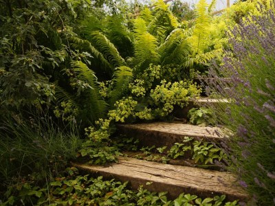 Apartment Chalet Lisa, 4 Schlafräume / Bad,Dusche,WC - Outdoor photo 19