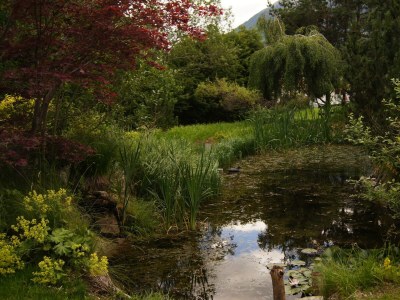 Apartment Chalet Lisa, 4 Schlafräume / Bad,Dusche,WC - Outdoor photo 20