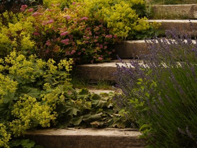 Apartment Chalet Lisa, 4 Schlafräume / Bad,Dusche,WC - Outdoor photo 23