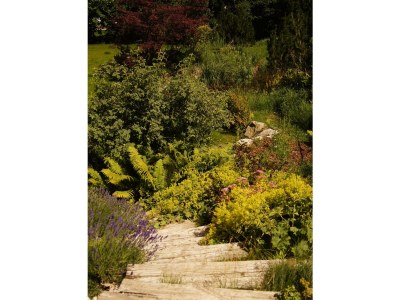 Apartment Chalet Lisa, 4 Schlafräume / Bad,Dusche,WC - Outdoor photo 24