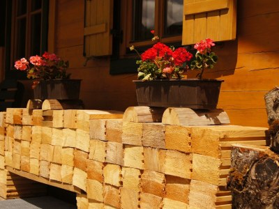 Apartment Chalet Lisa, 4 Schlafräume / Bad,Dusche,WC - Outdoor photo 27