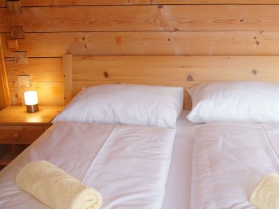 Apartment Chalet Lisa, 4 Schlafräume / Bad,Dusche,WC - Features photo 49