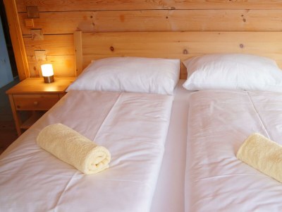 Apartment Chalet Lisa, 4 Schlafräume / Bad,Dusche,WC - Features photo 52