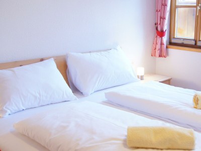 Apartment Chalet Lisa, 4 Schlafräume / Bad,Dusche,WC - Features photo 55