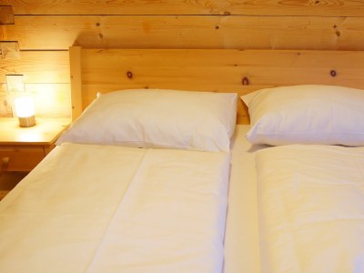 Apartment Chalet Lisa, 4 Schlafräume / Bad,Dusche,WC - Features photo 68