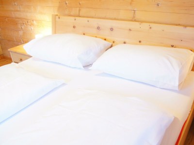 Apartment Chalet Lisa, 4 Schlafräume / Bad,Dusche,WC - Features photo 77