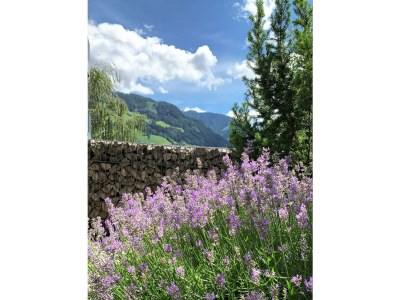 Apartment App. Ursula/Wohn-Schlafraum/Dusche & WC - Outdoor photo 17