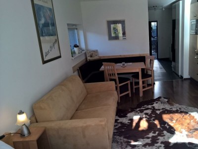 Apartment App. Ursula/Wohn-Schlafraum/Dusche & WC - Features photo 36