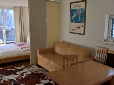 Apartment App. Ursula/Wohn-Schlafraum/Dusche & WC - Features photo 37