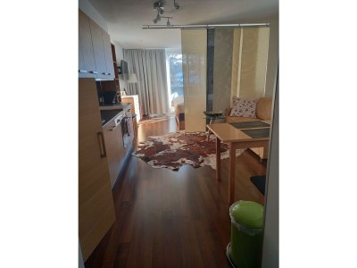 Apartment App. Ursula/Wohn-Schlafraum/Dusche & WC - Features photo 40