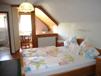 Apartment Apartment/Wohn-Schlafraum/Dusche, WC - Features photo 11