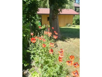 Apartment Planaiperle 1 - Outdoor photo 13