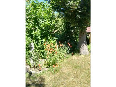 Apartment Planaiperle 1 - Outdoor photo 16