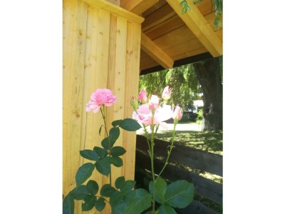 Apartment Planaiperle 1 - Outdoor photo 17