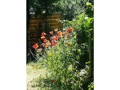 Apartment Planaiperle 1 - Outdoor photo 19