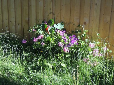 Apartment Planaiperle 2 - Outdoor photo 6