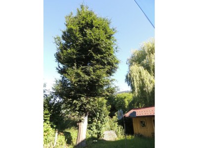 Apartment Planaiperle 2 - Outdoor photo 9