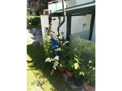 Apartment Planaiperle 2 - Outdoor photo 12