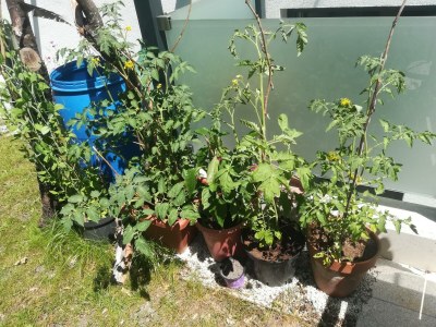 Apartment Planaiperle 2 - Outdoor photo 14