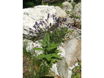 Apartment Planaiperle 2 - Outdoor photo 15