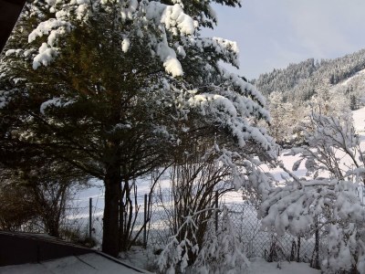 Apartment Apartment II f.2-3 Pers./Wohn-Schlafraum/Dusche, W - Outdoor photo 3