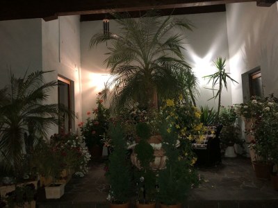 Apartment Apartment II f.2-3 Pers./Wohn-Schlafraum/Dusche, W - Outdoor photo 7