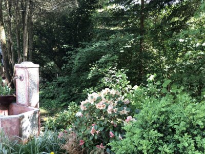 Apartment Apartment II f.2-3 Pers./Wohn-Schlafraum/Dusche, W - Outdoor photo 8