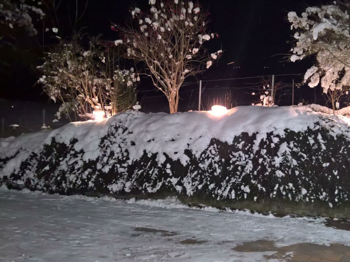 Apartment Apartment I f.2-3 Pers./Wohn-Schlafraum/Dusche, WC - Outdoor photo 2