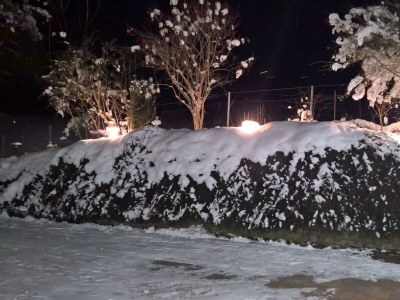 Apartment Apartment I f.2-3 Pers./Wohn-Schlafraum/Dusche, WC - Outdoor photo 2