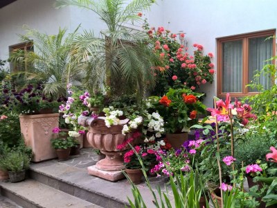 Apartment Apartment I f.2-3 Pers./Wohn-Schlafraum/Dusche, WC - Outdoor photo 6