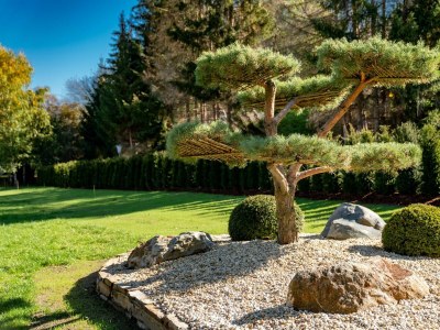 Apartment Apartment Typ B/1 Schlafraum f. 2-4 Pers - Outdoor photo 19