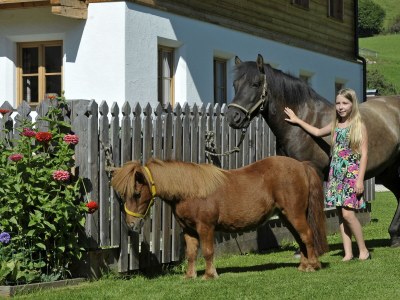 Apartment Haus Alfons - Apartment Enzian, 1 Schlafraum - Outdoor photo 32