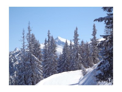 Apartment Haus Alfons - Apartment Arnika, 3 Schlafräume - Outdoor photo 20